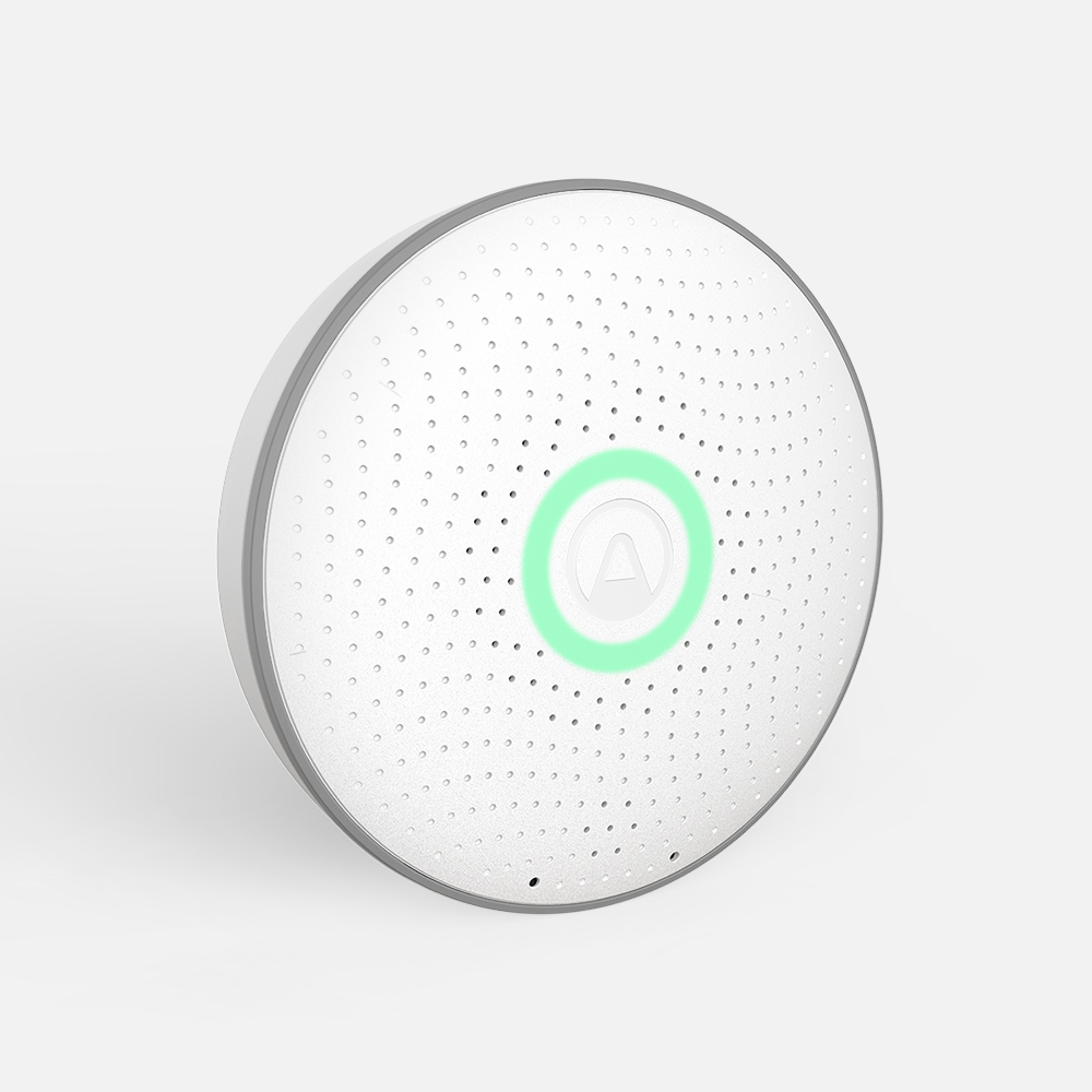 Wave Radon Monitor